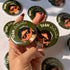 Telugu Wedding Badges