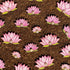 Lotus Decorative Cutouts