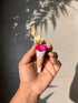 Mini Handmade Bouquet